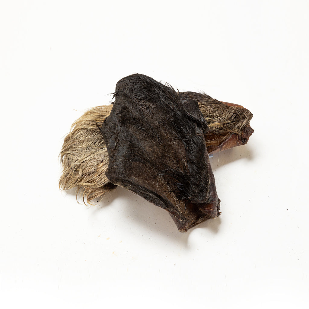 Hairy Cow Ears
